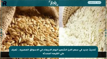 تحديث جديد في سعر الأرز الشعير اليوم الأربعاء في الأسواق المصرية.. تعرف على القيمة المحدثة